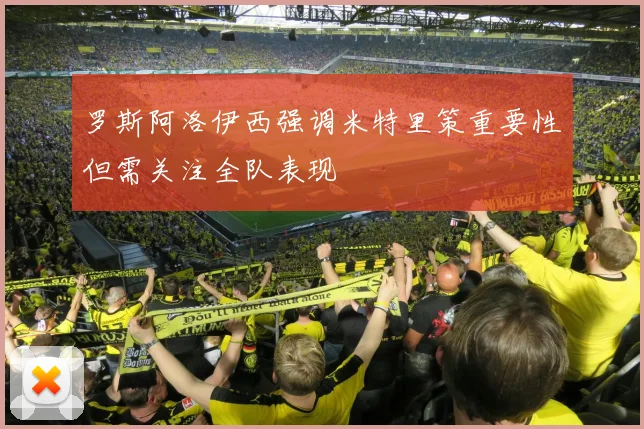 罗斯阿洛伊西强调米特里策重要性但需关注全队表现